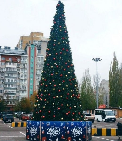 В Воронеже появилась первая новогодняя ёлка