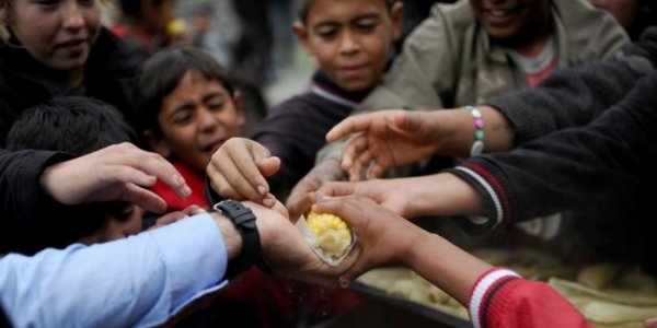 Учёные: В мире недоедают 3 миллиарда человек