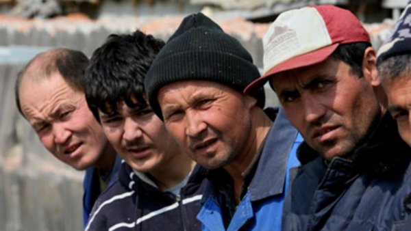 Гастарбайтер - на выход: Запрет на работу для мигрантов в Якутии может стать заразительным для других регионов РФ