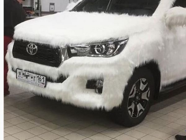 «Чтобы в России не замерз»: Пользователи обсудили Toyota Land Cruiser в «шерстяном» обвесе