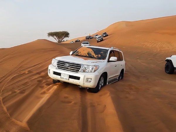 «Гнал траверсом по дюне и орал от ужаса»: Владелец рассказал, чем закончилась поездка на Toyota Land Cruiser 200 по пустыне