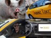 А мне твоя рожа не нравится! Водитель «Яндекс.Такси» изменил клиенту с «левым» пассажиром